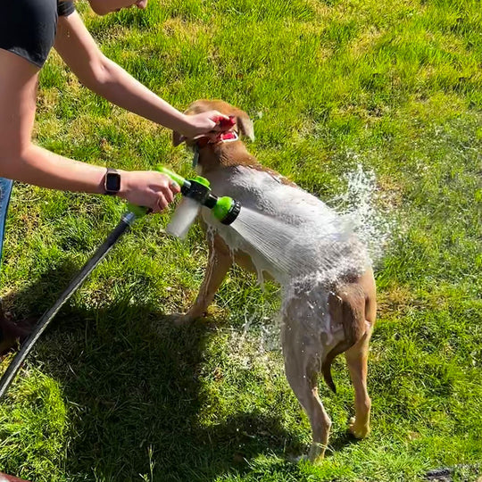 Splash & Wash Hondwasserset
