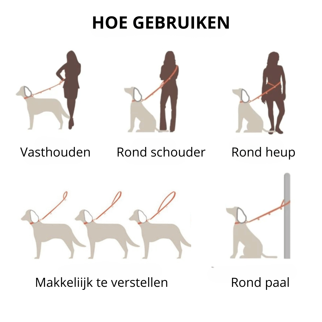 SlimmeStap Hondenset