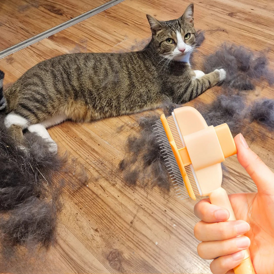 FurFree Borstel™