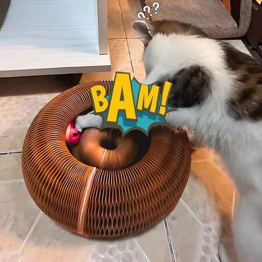 Kattenkrab Rol