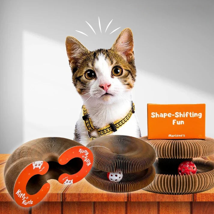 Kattenkrab Rol