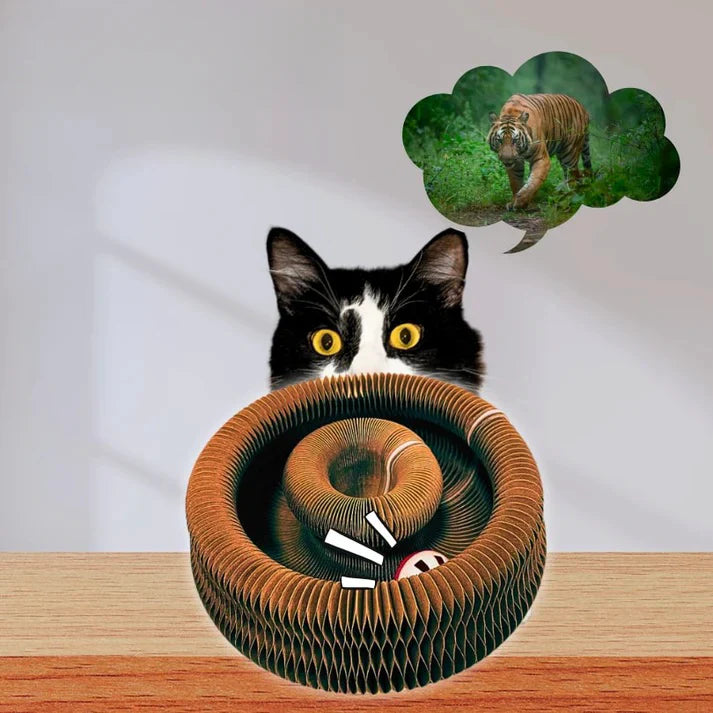 Kattenkrab Rol