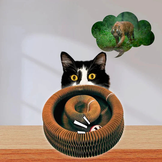 Kattenkrab Rol