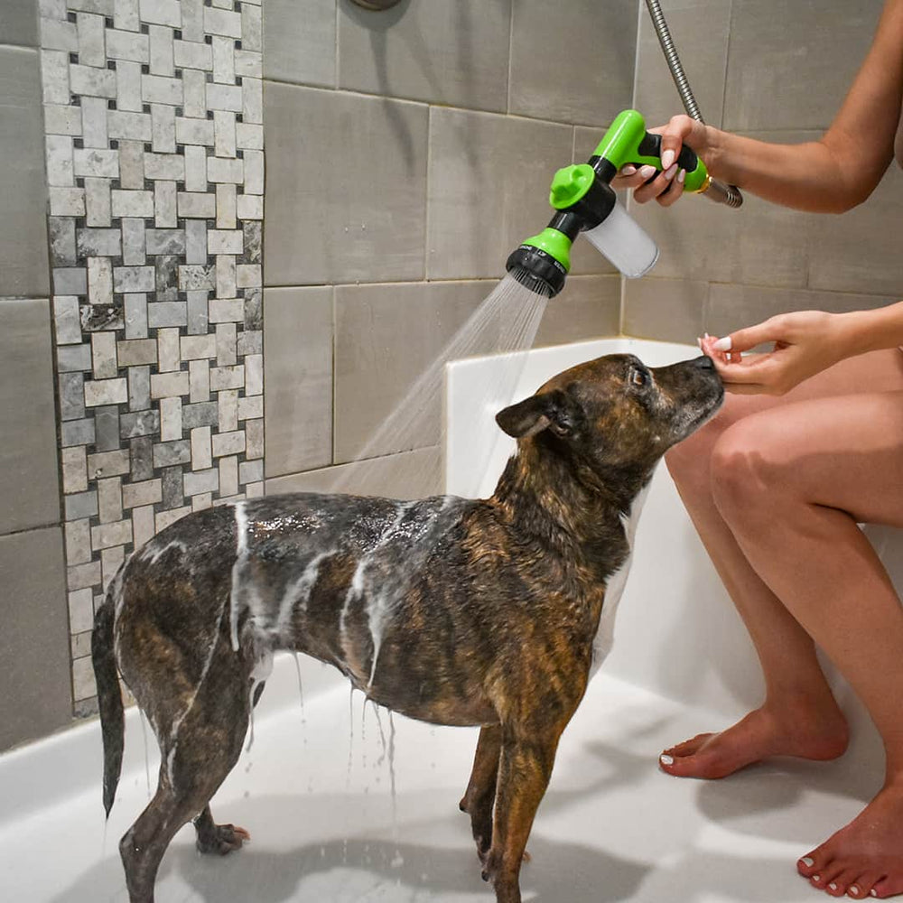 Splash & Wash Hondwasserset
