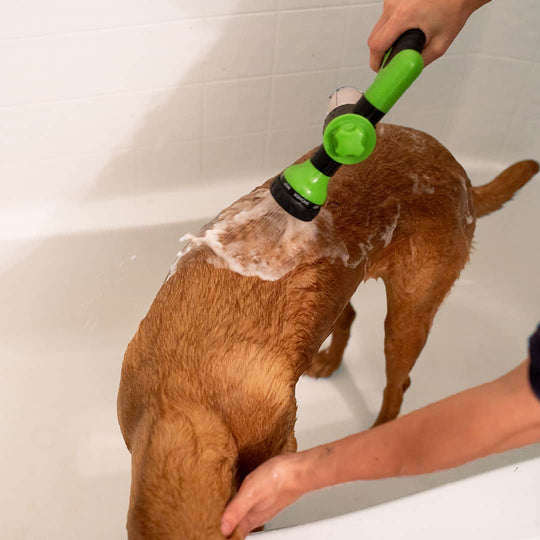 Splash & Wash Hondwasserset