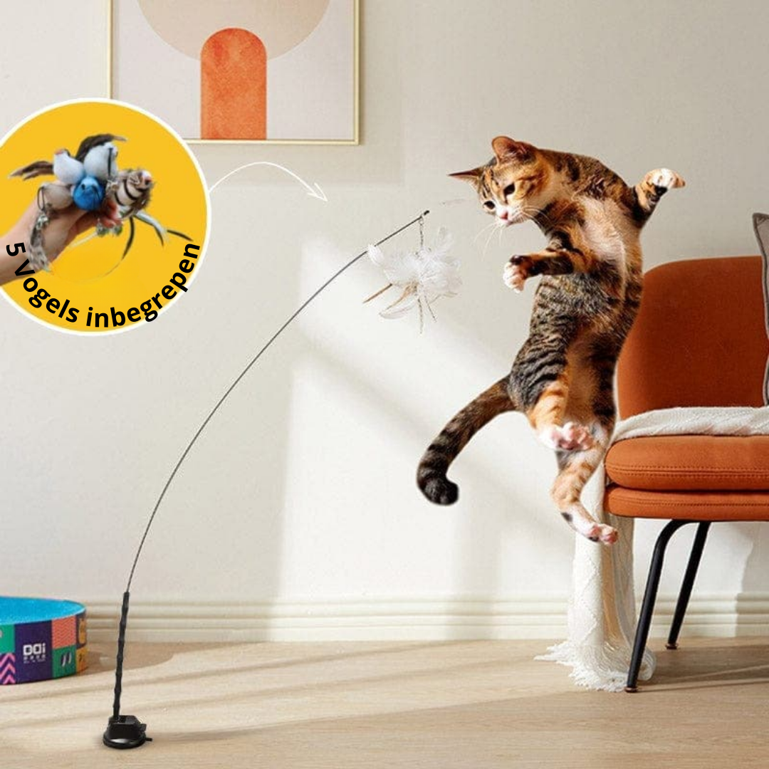 JachtPlezier Kattenvogel Set