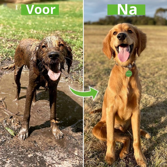 Splash & Wash Hondwasserset