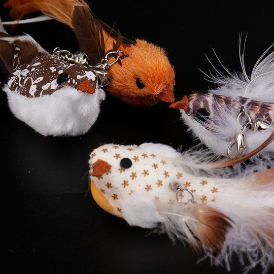 JachtPlezier Kattenvogel Set
