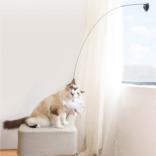 JachtPlezier Kattenvogel Set