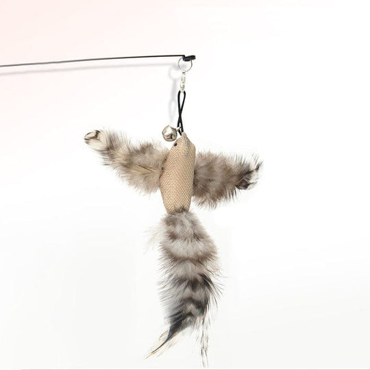 JachtPlezier Kattenvogel Set