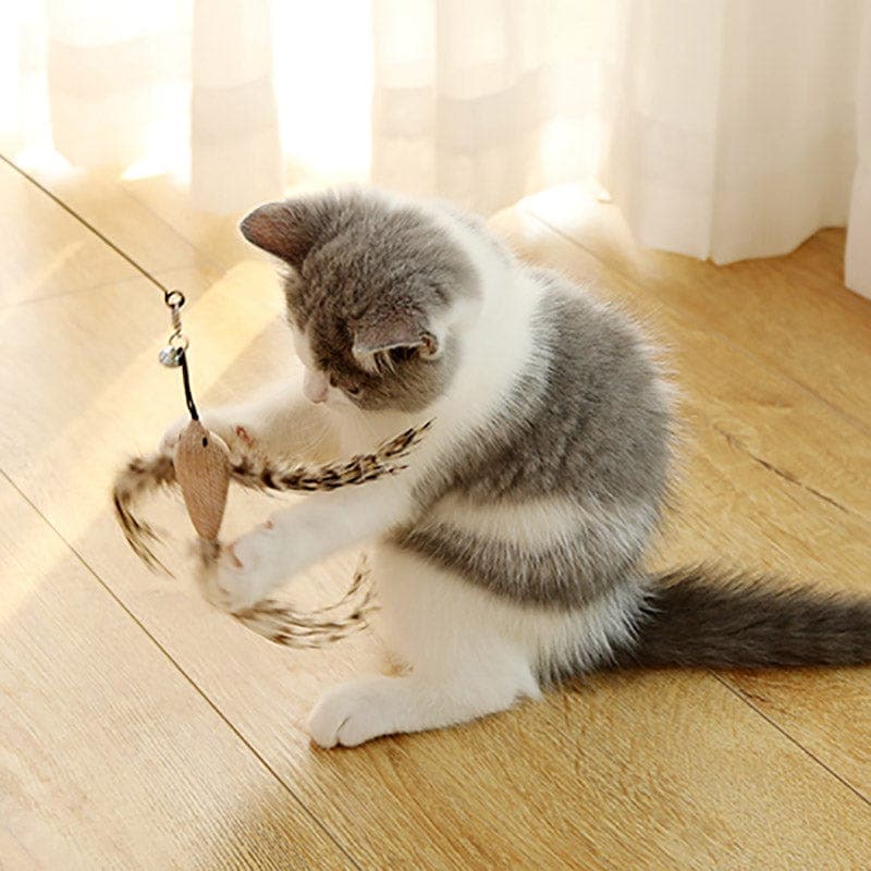 JachtPlezier Kattenvogel Set