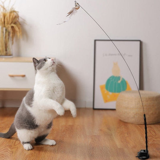 JachtPlezier Kattenvogel Set