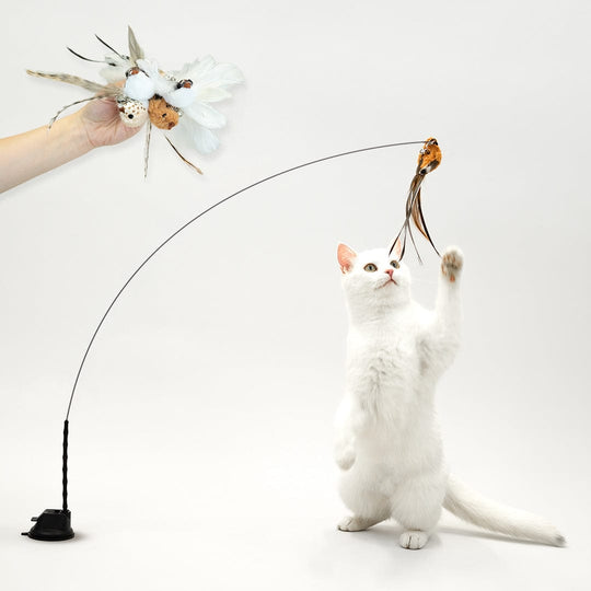 JachtPlezier Kattenvogel Set